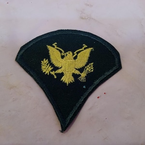 Può includere: Toppa ricamata verde scuro con un'aquila dorata che tiene un ramo d'ulivo e frecce. La toppa ha un bordo nero e una forma a diamante.