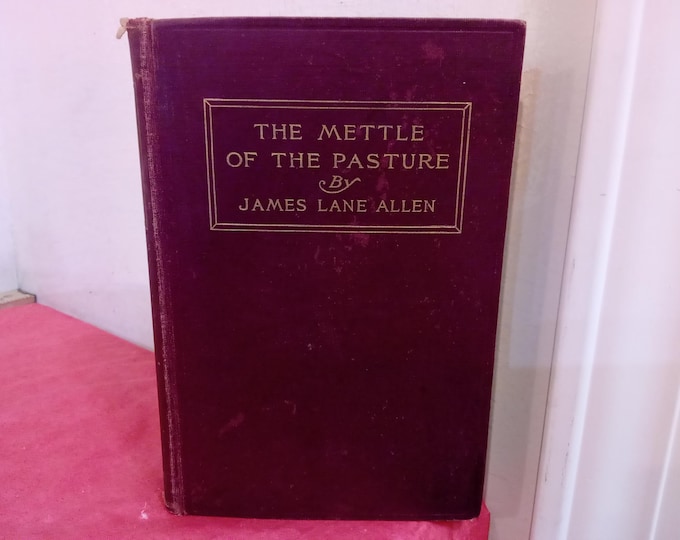 Vintage Hardcover Book, The Mettle of the Pasture by James Lane Allen, 1903