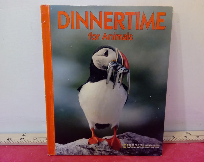 Vintage Hardcover Book, National Geographic Society Book " Dinnertime for Animals, 1991