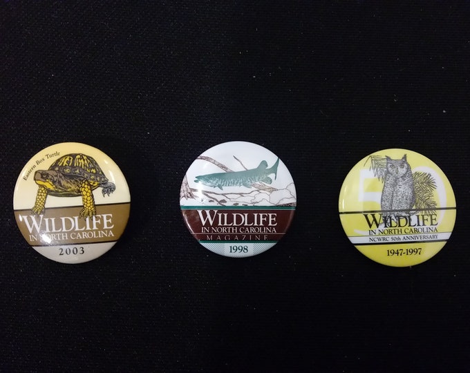Vintage Pinback Pins, Wildlife in North Carolina, Eastern Box Turtle, Muske, and Owl, #P