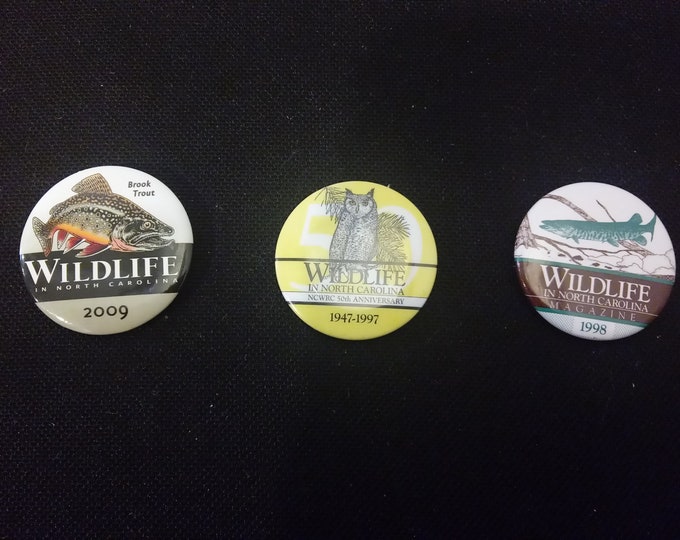 Vintage Pinback Pins, Wildlife in North Carolina, Brook Trout, Owl, and Muske, #P