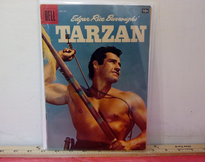 Vintage Comic Books, Dell Comic Books, Tarzan. Rin Tin Tin, Lassie, Around the World/Under the Sea, and Nikki Wild Dog of the North, 1950's
