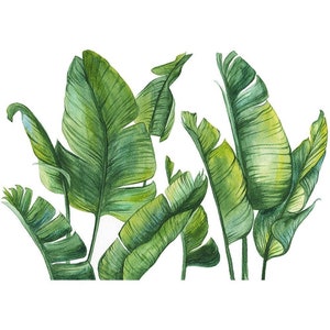 Tropical Plant Wall Stickers Large Big Green Leaf Wall Decals - Etsy