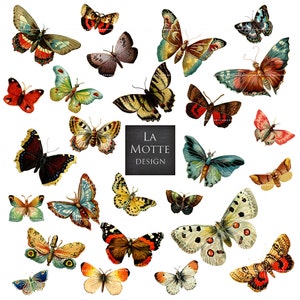 butterfly clipart butterfly scrap clipart vintage butterflies and moths 26 png + 2 letter size jpg butterfly clip art