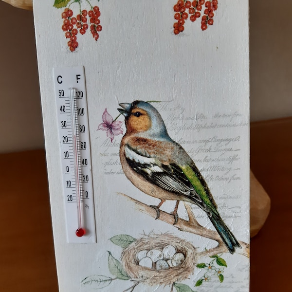 Thermomètre intérieur motifs Oiseaux