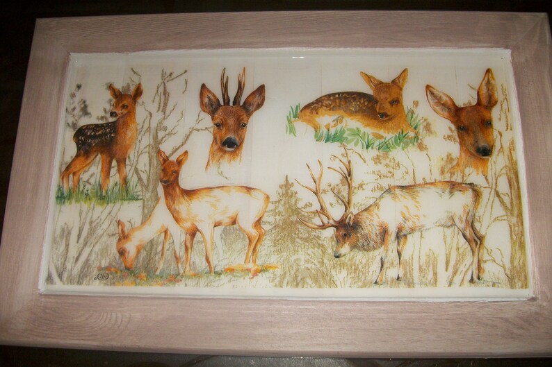 Cadre Cerfbichefaon Déco Maison 40 X 25 Cmanimaux