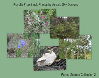 Astraia Sky Designs Royalty Free Stock Photos - The Forest Scenes Collection 1