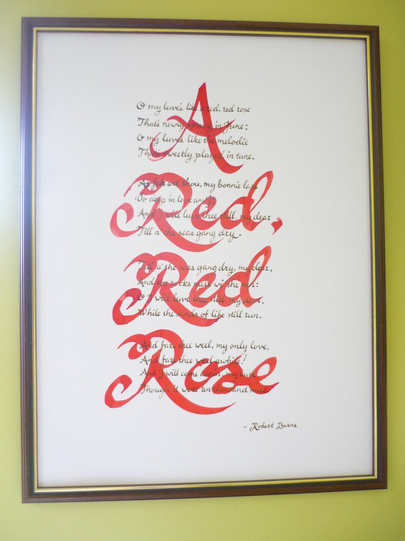 A red red rose by robert burns essay picture