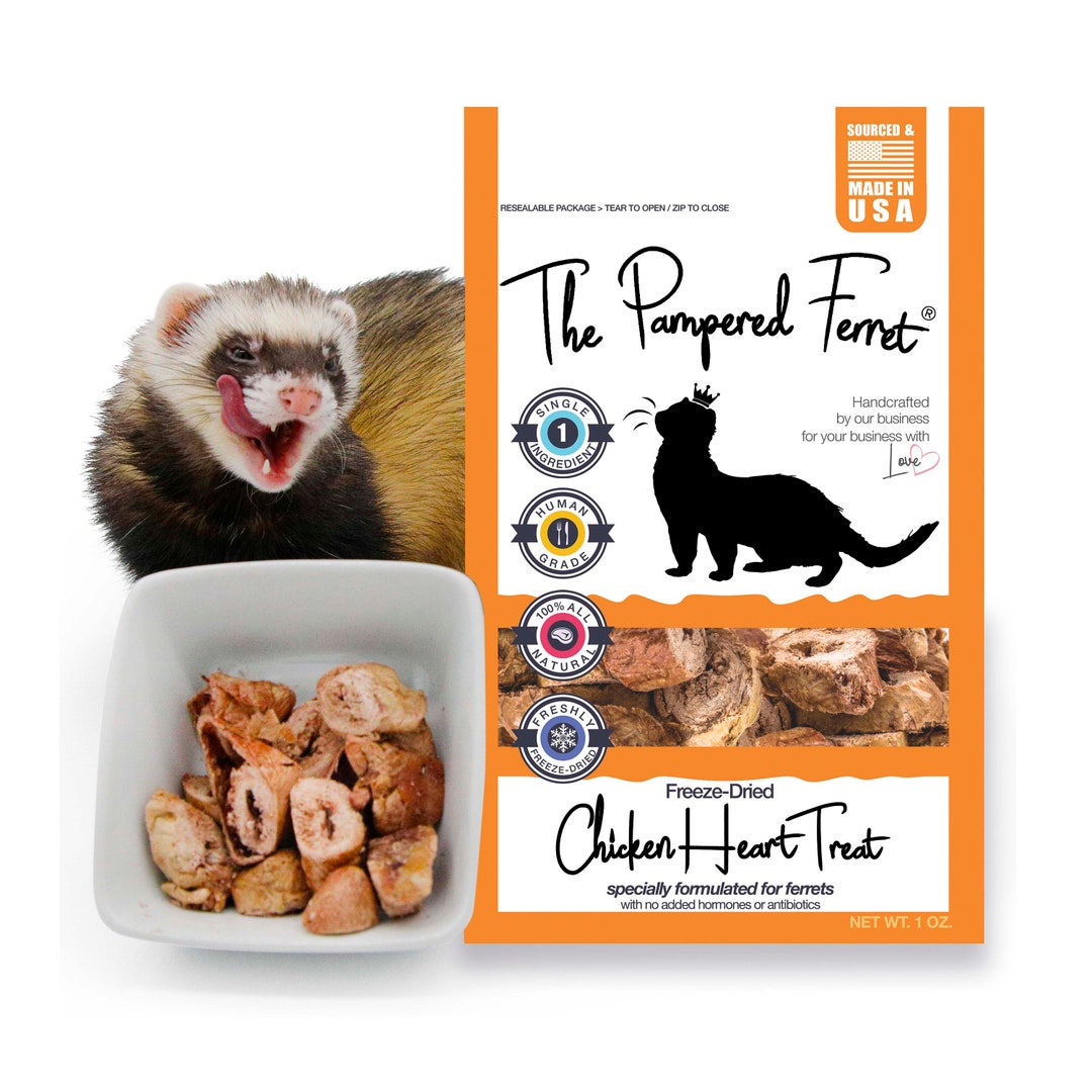 Freezedried Raw Chicken Heart Treat for Ferrets, Cats & Dogs Etsy