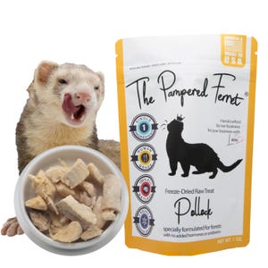 Freeze-Dried Raw Pollock Treat for Ferrets