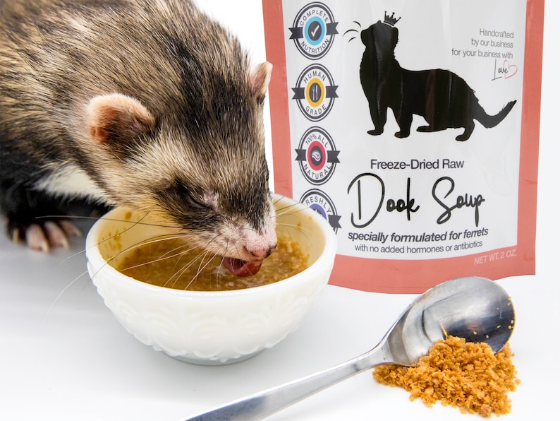Freeze-Dried Meals for Ferrets: A Comprehensive Guide