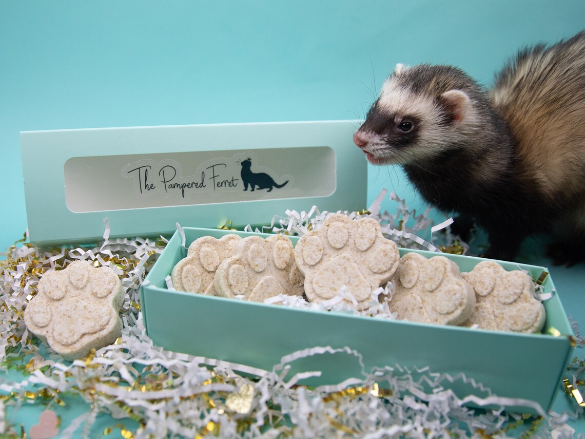 6pk Moisturizing Ferret Bath Bombs Oatmeal Safe Healthy Etsy