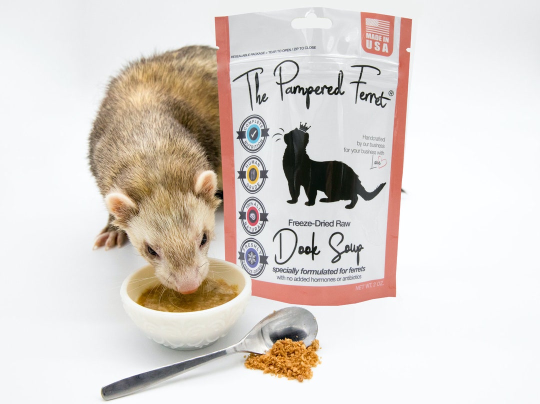 Duck soup for ferrets 2025