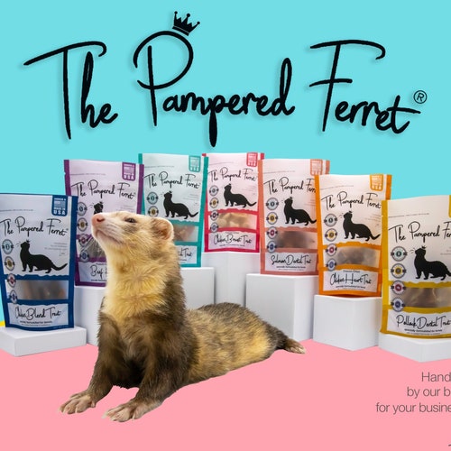 Freezedried Raw Chicken Breast Treat Healthy for Ferrets Etsy