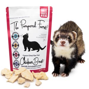Freeze-Dried Raw Chicken Breast Treat for Ferrets