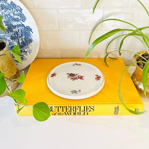 Puede incluir: Un plato decorativo redondo blanco con borde dorado y diseño floral. El plato está colocado sobre un libro amarillo titulado "Butterflies of the World". Un plato con estampado azul y blanco y plantas en macetas están en el fondo.