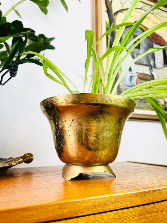 clear pot plant Clear Self-Watering Pot – 4