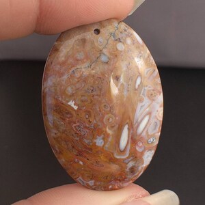 40mm Palm Root Agate Bead Pendant Cabochon 45ct Petrified Palm Root Pendant Gemstone Cabochon Bead Pendant AGXP0A0002 image 5