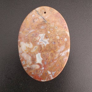 40mm Palm Root Agate Bead Pendant Cabochon 45ct Petrified Palm Root Pendant Gemstone Cabochon Bead Pendant AGXP0A0002 image 4