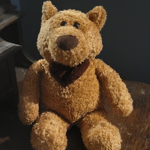 Rare Vintage 2001 Commonwealth 11 in. Plush Bear Stuffed Animal Great Condition