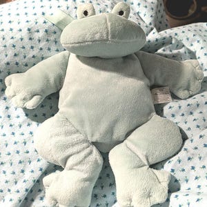 May include: A soft, light green plush frog toy with a rounded head, two small eyes with black pupils, wide arms, and large feet. The stuffed animal features a smooth, velvety texture and a small fabric tag attached to the side of its body.