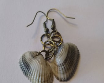 Real Scallop Seashell Dangle Earrings - Beach Jewelry