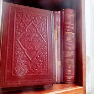New Standard Encyclopedia - Etsy