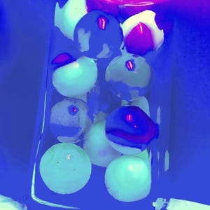 May include: An abstract image of several round, light-colored objects with dark blue and purple accents, possibly fruit, inside a clear container. The background is a deep blue, creating a contrasting and artistic composition.