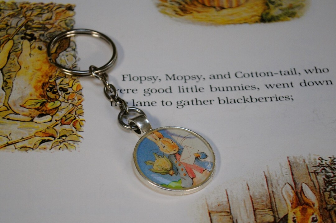 Peter Rabbit Keyring - Etsy