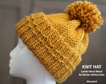 beanie with a rim