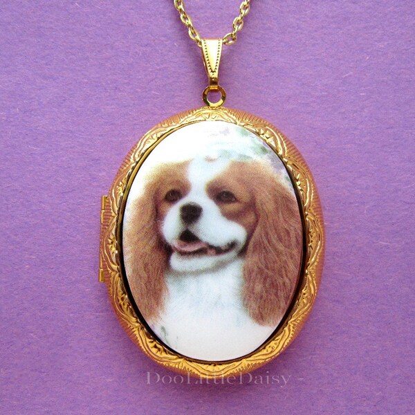 Large Porcelain CAVALIER or KING CHARLES Spaniel Dogs Cameo Costume Jewelry 40mm x 30mm Goldtone Locket Pendant Necklace w/ 24 Inch Chain