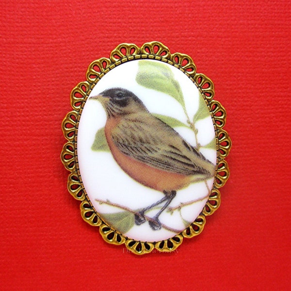 Beautiful Porcelain AMERICAN ROBIN BIRD Cameo Costume Jewelry on a Goldtone Brooch Pin Brooch for Birthday Mothers Day or Christmas Gift