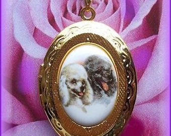 Dog Small Porcelain White and Gray POODLE Little Dogs Cameo Costume Jewelry Goldtone Locket Pendant Necklace Cameo w/ 18 Inch Chain