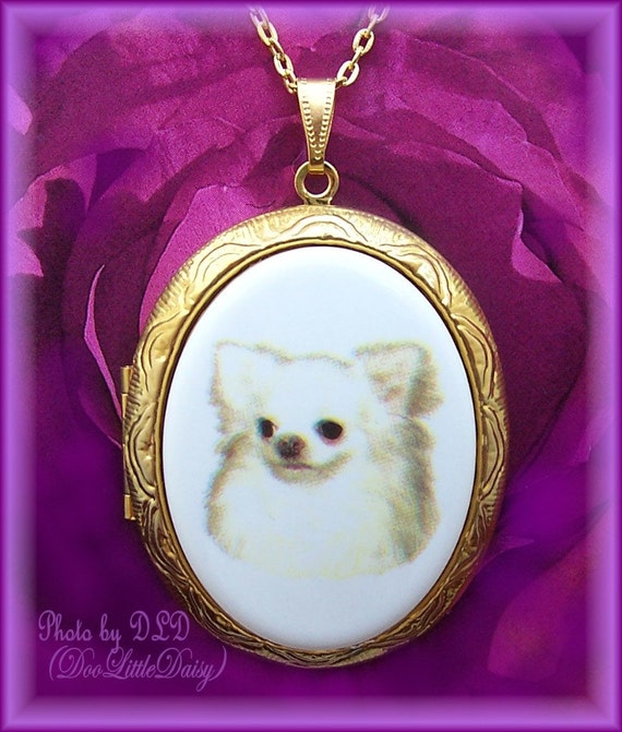 Dogs Porcelain White Long Haired Chihuahua Dog Cameo Costume Etsy