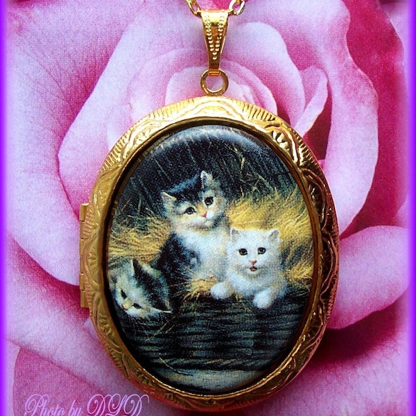 Cat Feline Porcelain 3 Cats Kittens in Basket Cameo Costume Jewelry Gold or Silver Tone Locket Pendant Necklace w/ 24 inch Chain for Gift