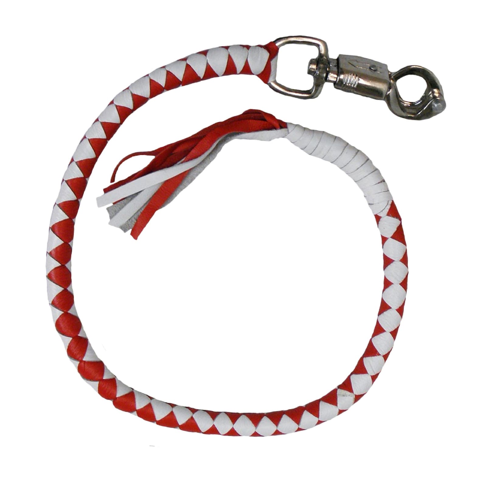 motorcycle handlebar whip