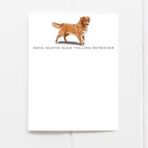 Nova Scotia Duck Tolling Retriever Note Cards | Dog Stationery | Dog Stationary | Custom Dog Note Cards | Toller Note Cards | Toller Cards