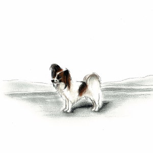 Papillon Dog Art Vintage Style Print