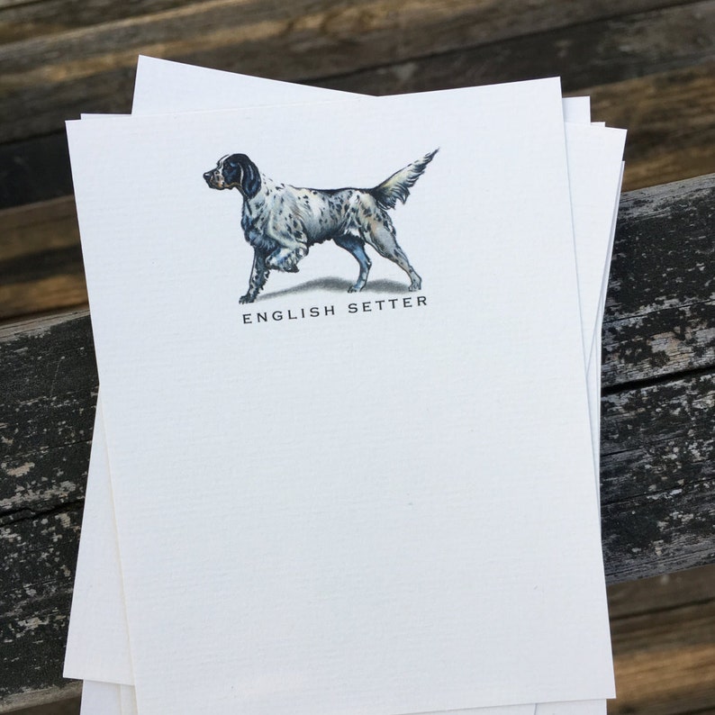 English Setter Dog Note Card Set Etsy