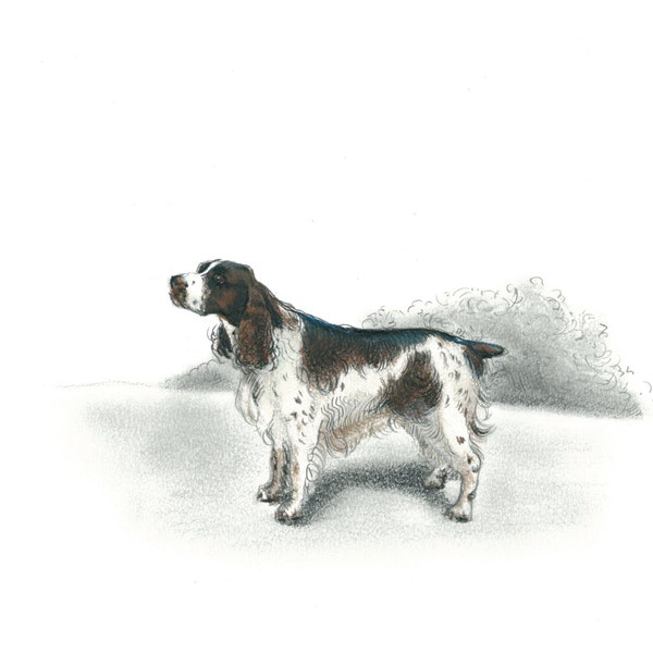 English Springer Spaniel Dog Art Vintage Style Print