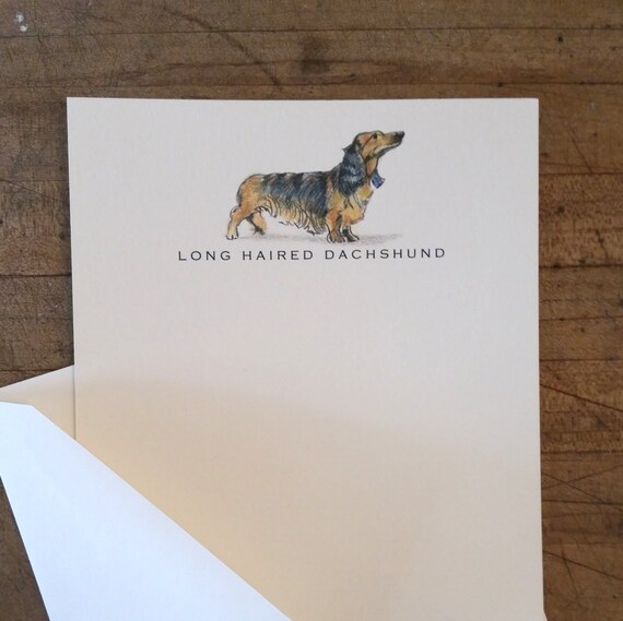 Long Haired Dachshund Dog Note Card Set Etsy