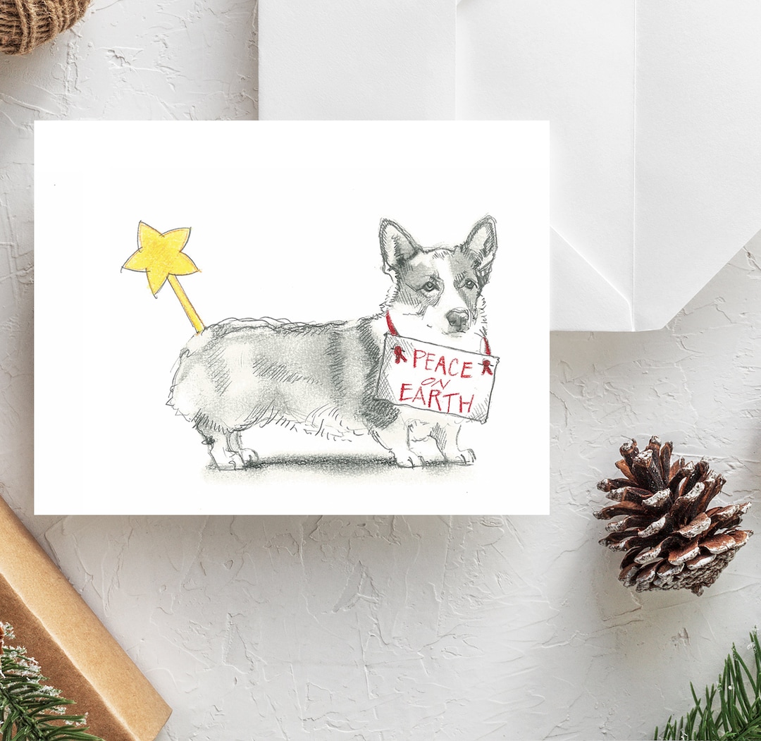 Deux Adorables Chiens Corgi Gallois Assis Sur Un Tapis Doux Et