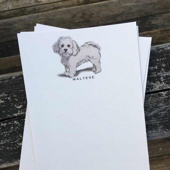 Maltese Note Cards Maltese Note Cards