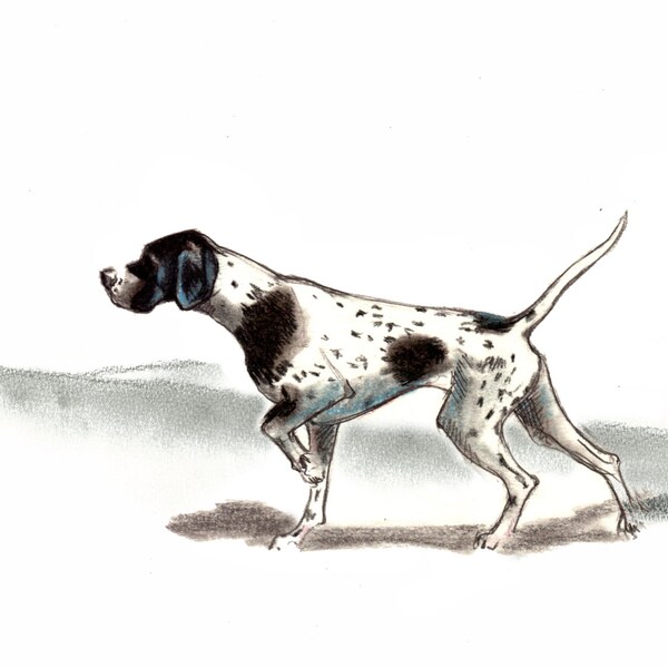 English Pointer  Dog Art Vintage Style Print