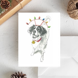English Setter II Holiday Cards | English Setter Christmas Cards | LLewellin Setter Christmas | Pet Christmas Cards | Dog Holiday Card