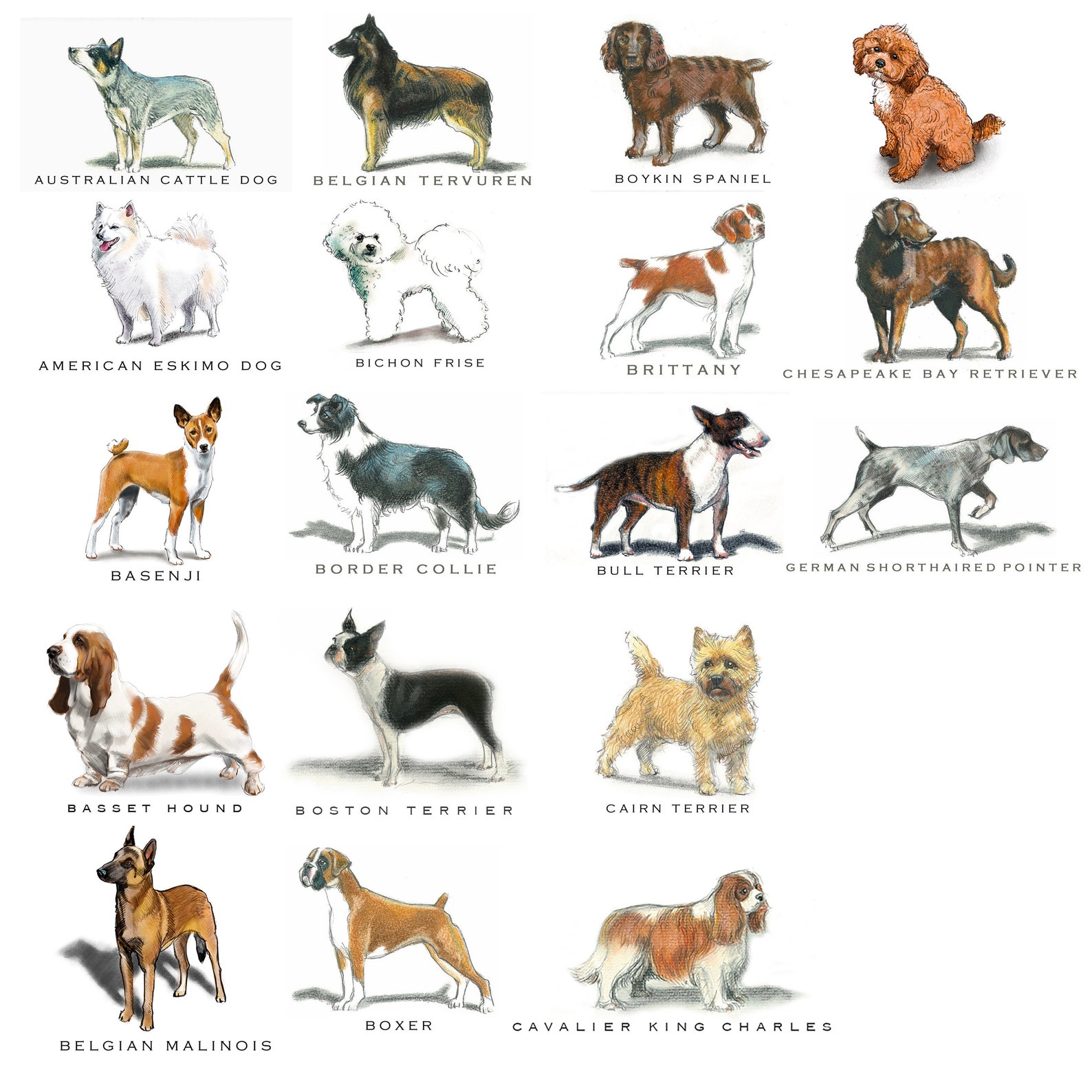 Personalized Dog Note Card Set Flat Stationary Stationery Etsy