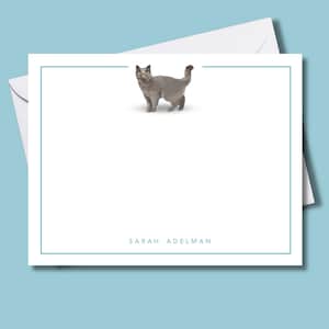 May include: A white card with a teal border and a gray cat illustration. The text "SARAH ADELMAN" is printed at the bottom of the card.