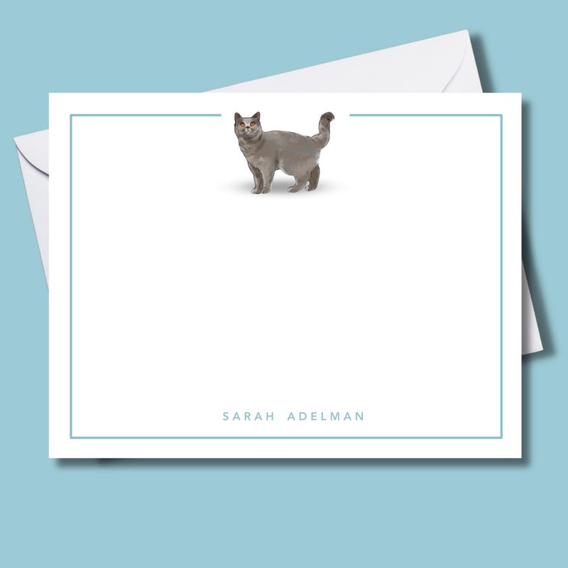 Personalised Cat Stationary - Etsy