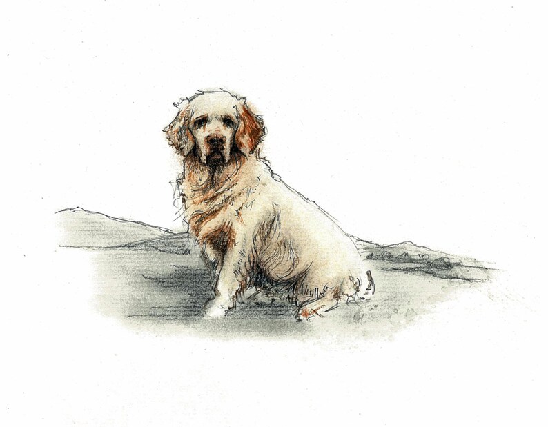 Cocker Spaniel Greeting Card Dog Lover Gifts Dog Birthday Card Thank You Card - View #4