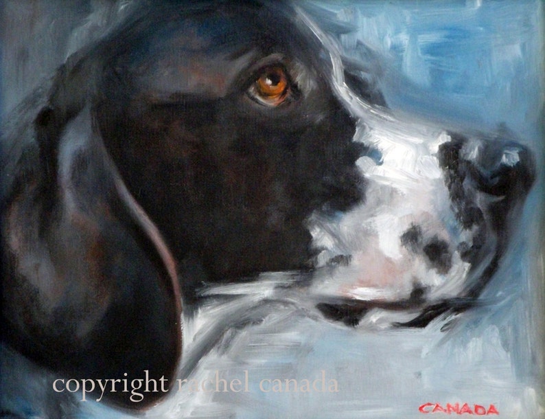 English Pointer Dog Oil Painting Print blue Gaze Etsy